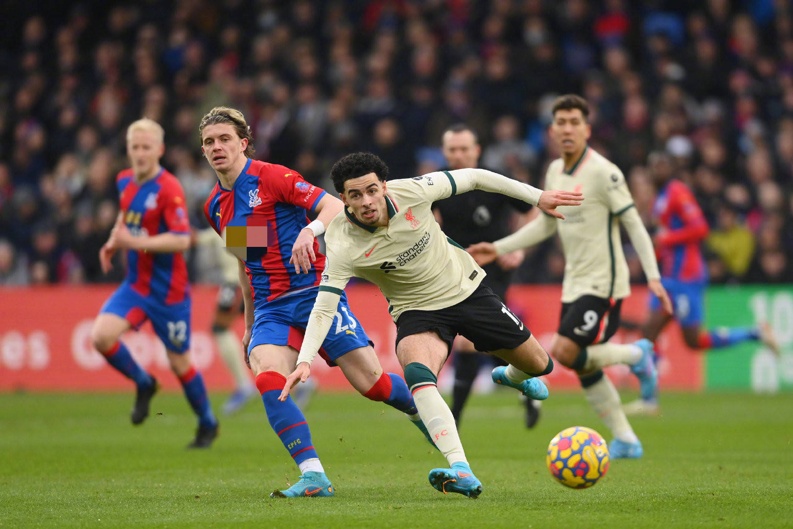 中率低至冰 中率低至冰